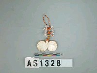 藏品(貝片珠串耳飾)的圖片